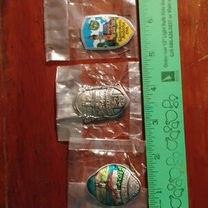 🏰  German Walking Stick MEDALLIONS Badge 🇩🇪